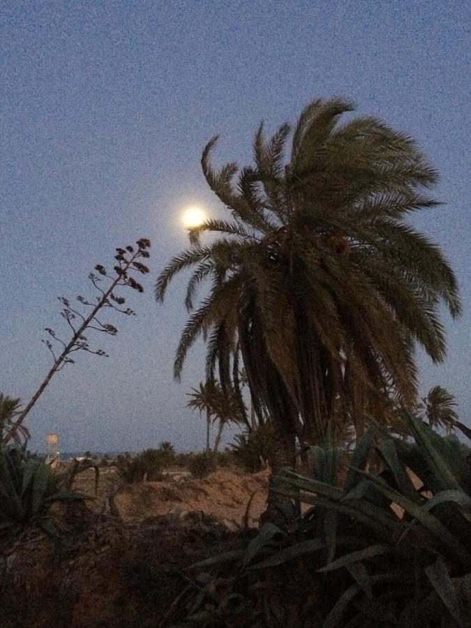 Dar Jasmin Djerba Bed & Breakfast Temlale Exterior photo