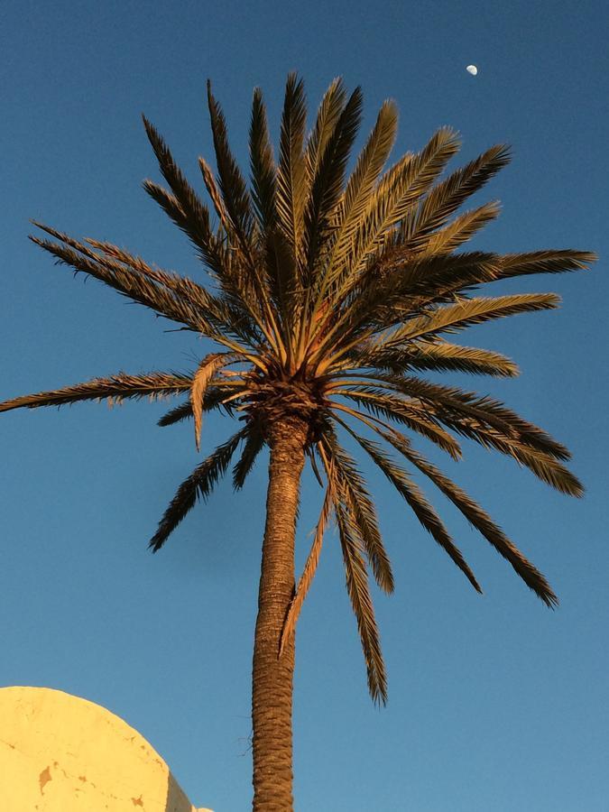 Dar Jasmin Djerba Bed & Breakfast Temlale Exterior photo